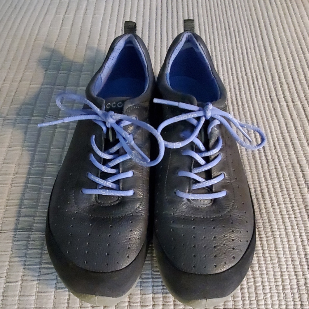 Ecco Biom Shoes